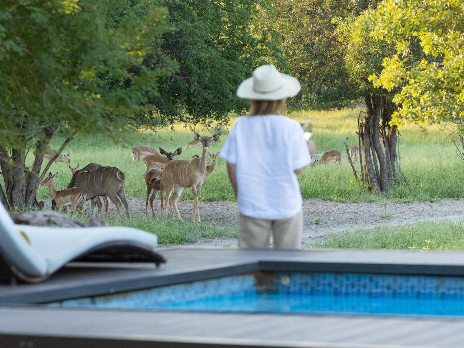 Villa Leopard Plains Motopi Exterior foto